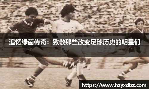 追忆绿茵传奇：致敬那些改变足球历史的明星们